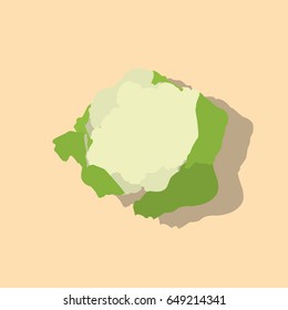 Cauliflower icon, vector illustration design. Vegetables collection.