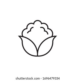 cauliflower icon vector illustration outline style design. isolated on white background