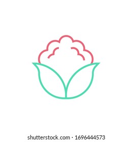 cauliflower icon vector illustration two color line style design. isolated on white background