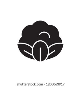 cauliflower icon vector. vegetable icon glyph style