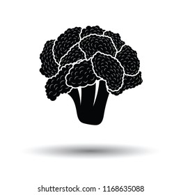 Cauliflower icon. White background with shadow design. Vector illustration.
