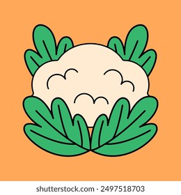 Cauliflower Illustration flat design style isolated on orange background