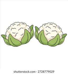 Blumenkohl, Illustrationsvektor mit weißem Hintergrund