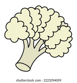 Cauliflower. Inflorescence of white cabbage. Color vector illustration. Cartoon style. Flowering stem. Useful vegetable. Seasonal organic product. Isolated background. Harvesting. Vegan food. 