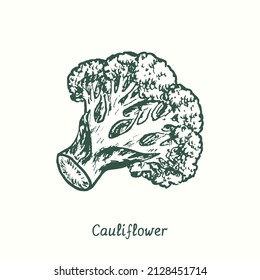 Cauliflower.  Ink Black And White Doodle Drawing In Woodcut Style