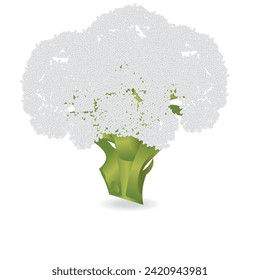 Cauliflower isolated on white background. Cauliflower vector illustration. Broccoli, cauliflower, Vegetable icon.