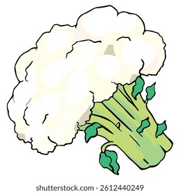 Cauliflower isolated on a white background