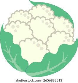 A couve-flor isolada sobre fundo branco