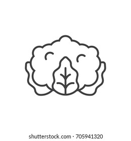 Cauliflower line icon.
