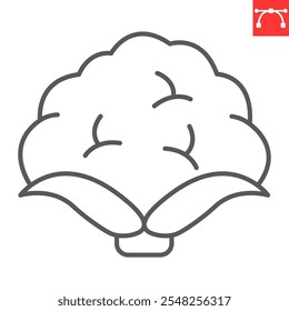 Blumenkohl-Linien-Symbol, frisch und pflanzlich, Blumenkohl-Vektorsymbol, Vektorgrafiken, editierbares Konturumrisszeichen, eps 10.