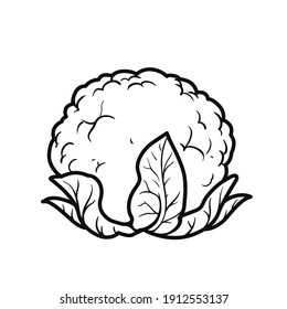Cauliflower linear drawing on white background