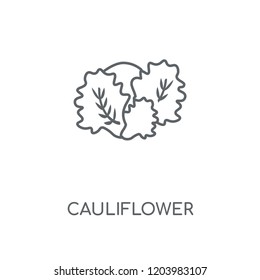 Cauliflower linear icon. Cauliflower concept stroke symbol design. Thin graphic elements vector illustration, outline pattern on a white background, eps 10.