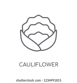Cauliflower linear icon. Modern outline Cauliflower logo concept on white background from Fruits and vegetables collection. Suitable for use on web apps, mobile apps and print media.