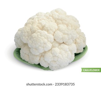 Cauliflower on dish composition with isolated image of vegetable on white background with text and shadow vector illustration