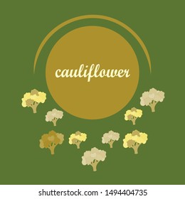 Cauliflower. Organic food poster. Farmer market design. Vector background.