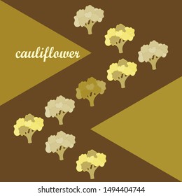 Cauliflower. Organic food poster. Farmer market design. Vector background.