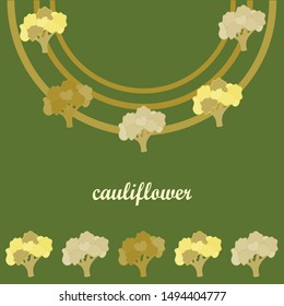 Cauliflower. Organic food poster. Farmer market design. Vector background.