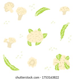 Patrón de coliflor. Conjunto de ilustraciones vectoriales de coliflor blanco. Cauliflor entero, hojas, mitad, pieza, cortado, rebanado