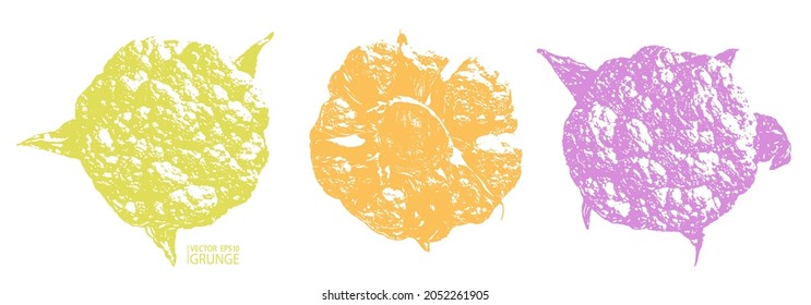 Cauliflower plant grunge vector. Organic vegetable. Fresh broccoli. Cauliflower whole head. Grunge unusual farmers market vegetable.