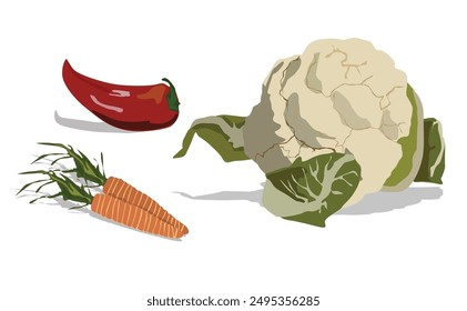 Cauliflower, red bell pepper and carrots isolated on white background. Vegetables vector illustration.