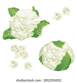 Cauliflower, Set of cauliflower isolated on white background, Cauliflower vector illustration.