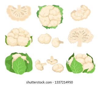 Cauliflower Set. Organic Food Concept. Vector Illustration.