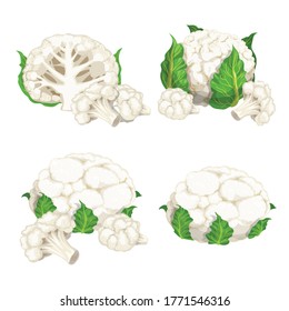 Cauliflower set. Whole with leaves and cuts. Vegetables in cartoon flat design. Eco farm fresh veggies. Vector illustrations isolated on white background.