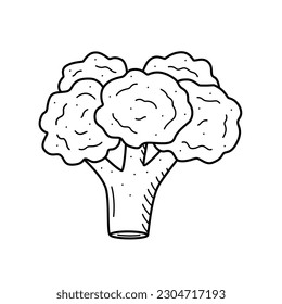 Blumenskizze, doodle Vektorgrafik auf weißem Hintergrund.