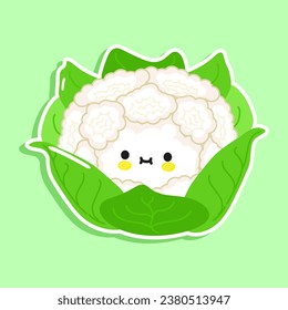 Cauliflower sticker character. Vector hand drawn cartoon kawaii character illustration icon. Isolated on green background. Cauliflower character concept