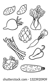 Cauliflower, sweet potatoes, artichoke, rhubarb, radish. Set of hand drawn line vegetables. Isolated on white background and grouped for easy selection. Design elements, stickers or poster.