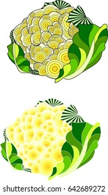 Cauliflower Vector Art. Can be used in advertisement, decoration or even tattoo if you want.