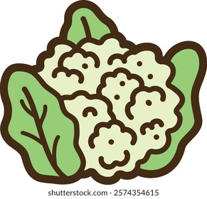Cauliflower vector doodle illustration and graphic