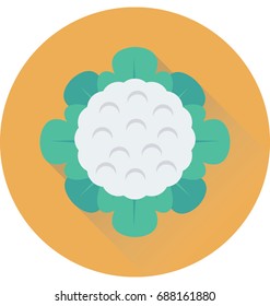 
Cauliflower Vector Icon
