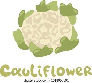 Cauliflower vector icon in flat style. Isolated object. Cauliflower logo. Isolated object. Vegetable from the garden. Organic food