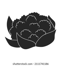 Blumenkohl, Vektorsymbol.Schwarz, Vektorsymbol einzeln auf weißem Hintergrund, Blumenkohl.