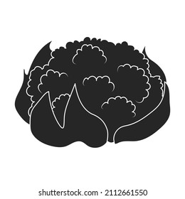 Cauliflower vector icon.Black vector icon isolated on white background cauliflower.