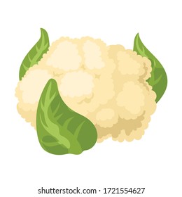 Blumenkohl, Vektorsymbol.Cartoon, Vektorsymbol einzeln auf weißem Hintergrund, Blumenkohl.