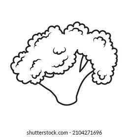 Icono vector de coliflor.Icono de vector contorno aislado en coliflor de fondo blanco.