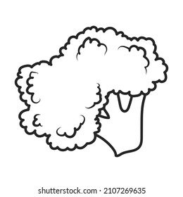 Cauliflower vector icon.Outline vector icon isolated on white background cauliflower.