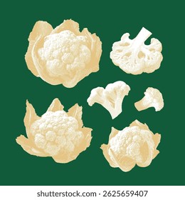 Coliflor, Vector de coliflor, ilustración de coliflor, dibujo de línea sobre fondo verde.