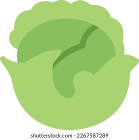 cauliflower Vector illustration on a transparent background. Premium quality symmbols. Line Color vector icons for concept and graphic design. 
