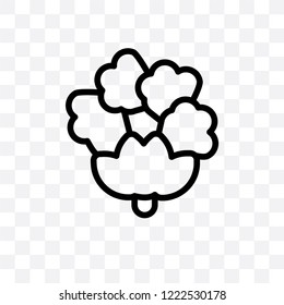 Cauliflower vector linear icon isolated on transparent background, Cauliflower transparency concept can be used for web and mobile