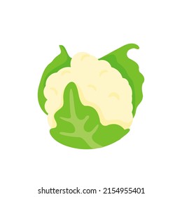 Cauliflower vector. Vegetables for healthy cooking