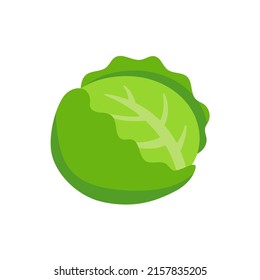 Vector de coliflor. Verduras para una cocina saludable