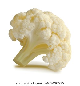 Cauliflower vector. Wonderful antioxidant. Beautiful Cauliflower. Cauliflower in mesh technique. Vector illustration.