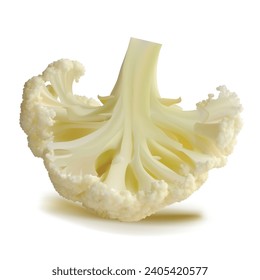 Cauliflower vector. Wonderful antioxidant. Beautiful Cauliflower. Cauliflower in mesh technique. Vector illustration.