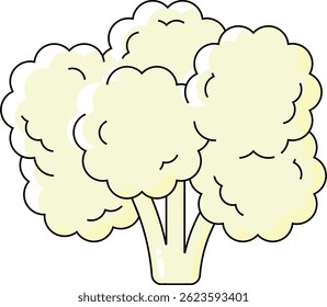 Cauliflower vectors art design illustration