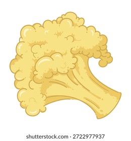 Ilustración vegetal de la coliflor aislada en el fondo blanco. Gráficos de productos orgánicos frescos adecuados para el diseño de alimentos, empaques, contenido de estilo de vida saludable, temas de cocina, imágenes de comestibles, conceptos de nutrición y materiales agrícolas.