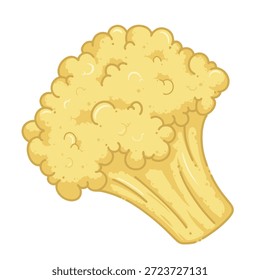 Ilustración de vegetales de coliflor aislados sobre fondo blanco Gráficos de productos orgánicos frescos adecuados para el diseño de alimentos, empaques, contenido de estilo de vida saludable, temas de cocina, imágenes de comestibles, conceptos de nutrición y materiales agrícolas.
