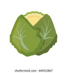 cauliflower vegetable natural
